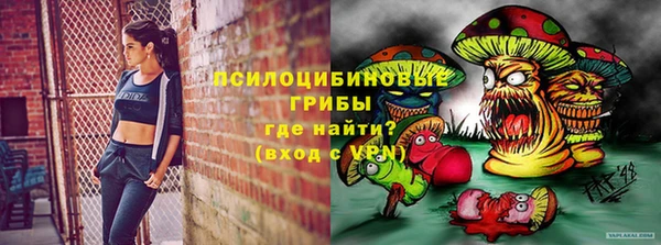 твердый Алзамай