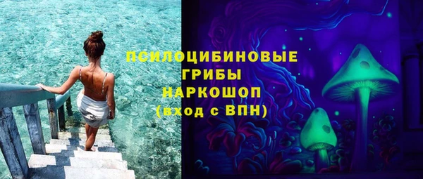 твердый Алзамай