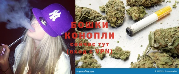 твердый Алзамай