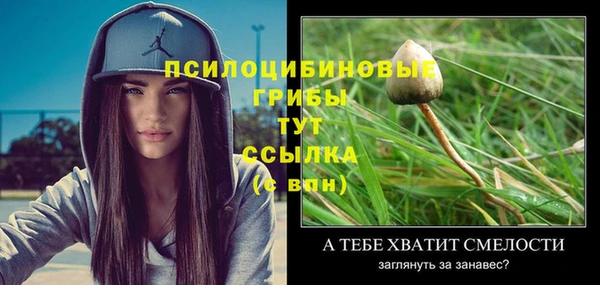прущие крисы Алексеевка