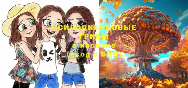 прущие крисы Алексеевка