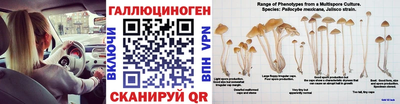 где найти наркотики  Обоянь  Галлюциногенные грибы Psilocybe 